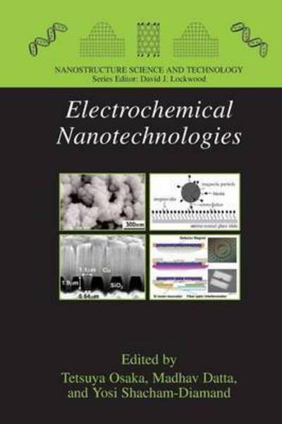 Cover for Tetsuya Osaka · Electrochemical Nanotechnologies - Nanostructure Science and Technology (Paperback Book) [2010 edition] (2014)