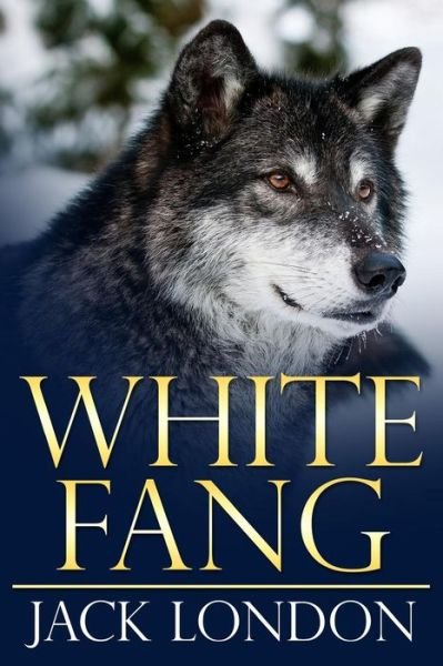 White Fang - Jack London - Bücher - Createspace - 9781500987251 - 29. August 2014