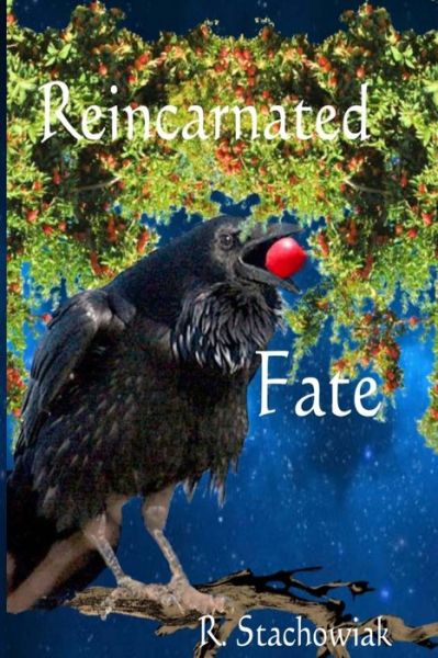 Cover for R Stachowiak · Reincarnated Fate (Paperback Book) (2015)