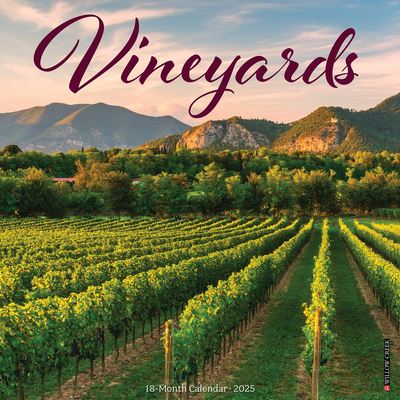 Willow Creek Press · Vineyards 2025 12 X 12 Wall Calendar (Calendar) (2024)