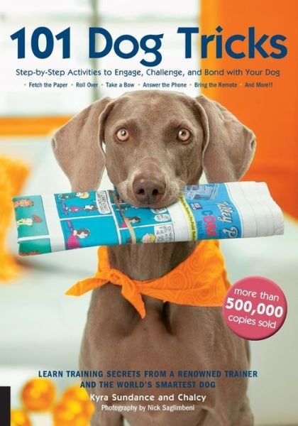 101 Dog Tricks: Step by Step Activities to Engage, Challenge, and Bond with Your Dog - Dog Tricks and Training - Kyra Sundance - Books - Quarto Publishing Group USA Inc - 9781592533251 - April 1, 2007