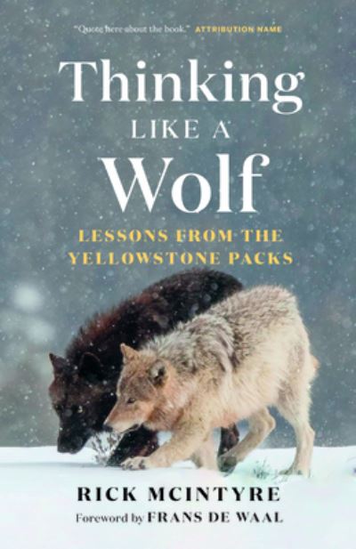 Cover for Rick McIntyre · Thinking Like a Wolf: Lessons From the Yellowstone Packs - The Alpha Wolves of Yellowstone Series (Hardcover Book) (2024)