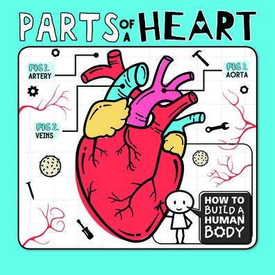 Cover for Kirsty Holmes · Parts of a Heart (Hardcover Book) (2020)