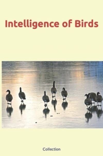 Cover for Amazon Digital Services LLC - KDP Print US · Intelligence of Birds (Pocketbok) (2022)