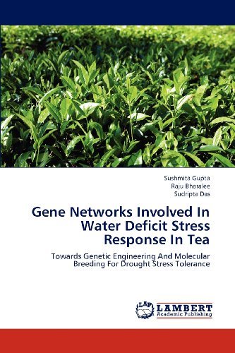Cover for Sudripta Das · Gene Networks Involved in Water Deficit Stress  Response in Tea: Towards Genetic Engineering and Molecular Breeding for Drought Stress Tolerance (Paperback Book) (2012)