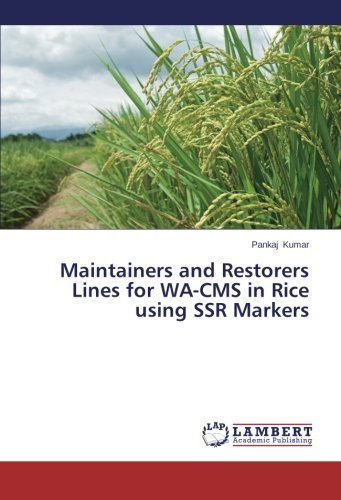 Cover for Pankaj Kumar · Maintainers and Restorers Lines for Wa-cms in Rice Using Ssr Markers (Paperback Book) (2014)