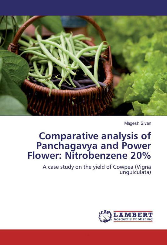 Cover for Sivan · Comparative analysis of Panchagav (Book)