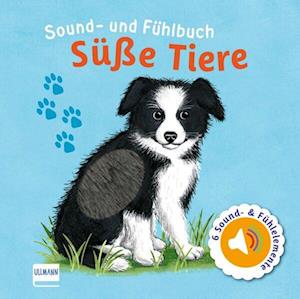 Cover for Svenja Doering · Sound- und Fühlbuch Süße Tiere (mit 6 Sound- und Fühlelementen) (Book) (2024)