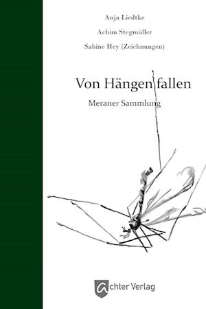 Cover for Anja Liedtke · Von Hängen fallen (Buch) (2023)