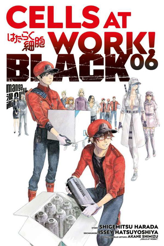 Cover for Shimizu · Cells at Work! BLACK 6 (Book)