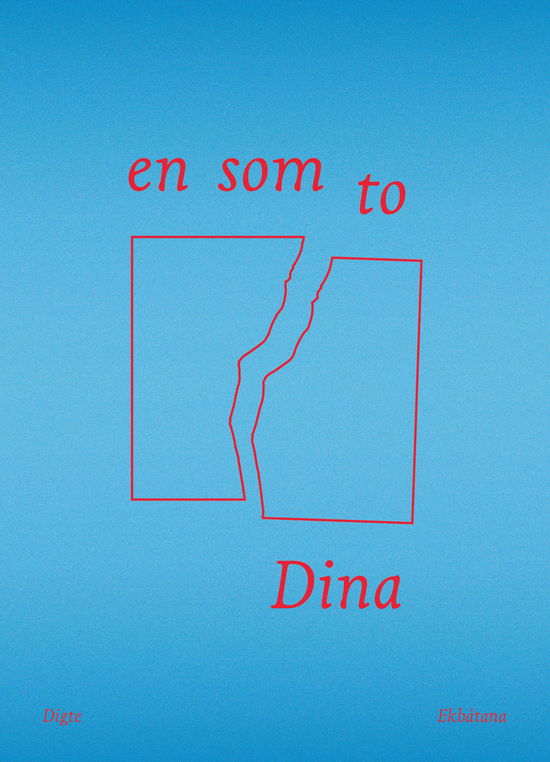 Cover for Dina · En Som to (Sewn Spine Book) [1. wydanie] (2024)