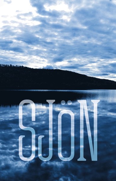Sjön - - Books - Whip Media - 9789188813251 - June 13, 2018