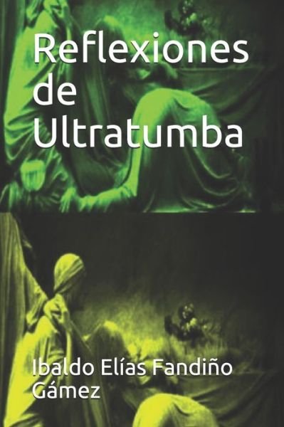 Cover for Ibaldo Elías Fandiño Gámez · Reflexiones de Ultratumba (Paperback Bog) (2018)