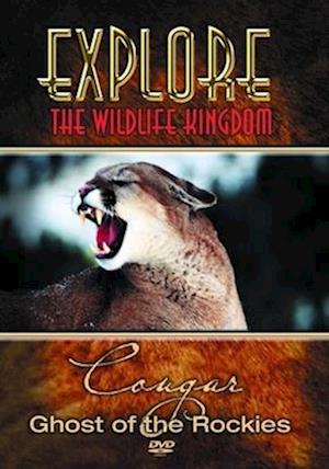 Cover for Explore the Wildlife Kingdom · Cougar Ghost of the Rockies (DVD) (2006)