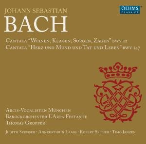Js Bachcantatas - Arcisvocalistsgropper - Music - OEHMS - 4260034864252 - February 25, 2013