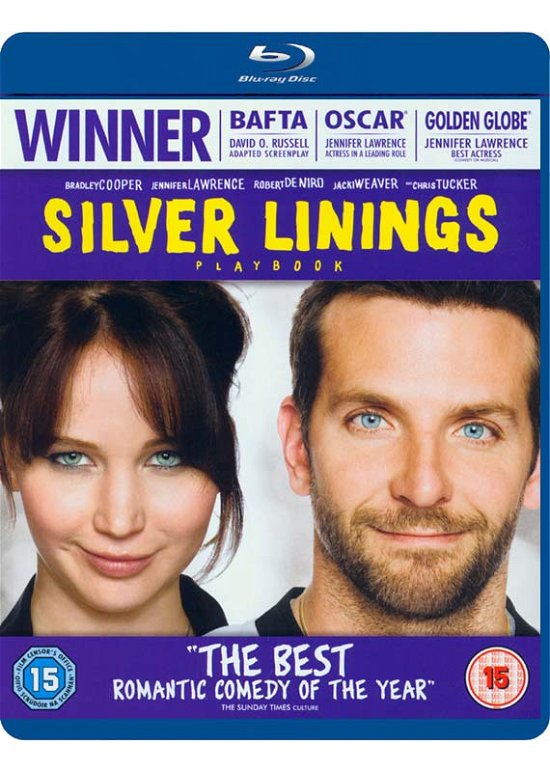 Cover for Silver Linings Playbook · Silver Linings - Playbook (Blu-ray) (2013)