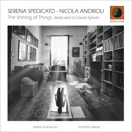 Shining Of Things - Dedicated To David Sylvian - Spedicato, Serena & Andrioli - Musik - DODICILUNE - 8033309694252 - 31. Januar 2020