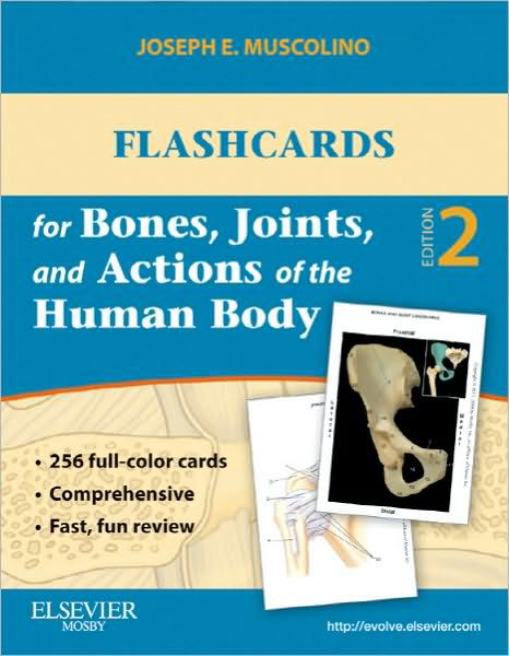 Cover for Muscolino, Joseph E. (Instructor, Purchase College, State University of New York, Purchase, New York; Owner, The Art and Science of Kinesiology, Redding, Connecticut) · Flashcards for Bones, Joints, and Actions of the Human Body (Flashkort) (2016)