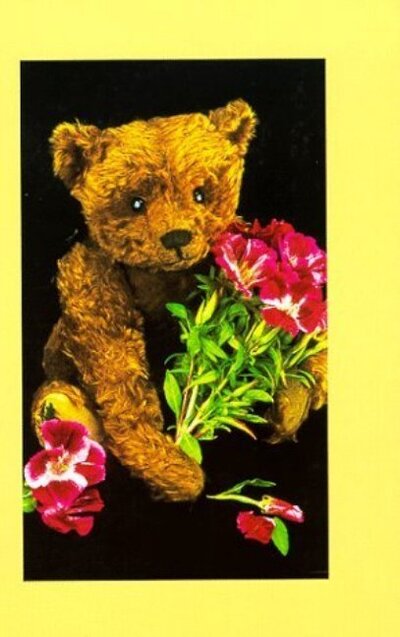 Cover for Krystyna Poray Goddu · Teddy Bear Collector's Journal (Paperback Book) (1999)