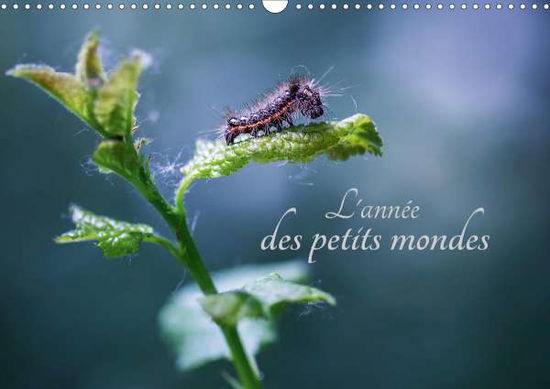 Cover for Gans · L'année des petits mondes (Calendr (Book)