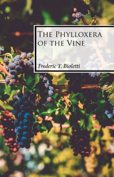 Cover for Frederic T Bioletti · The Phylloxera of the Vine (Taschenbuch) (2019)