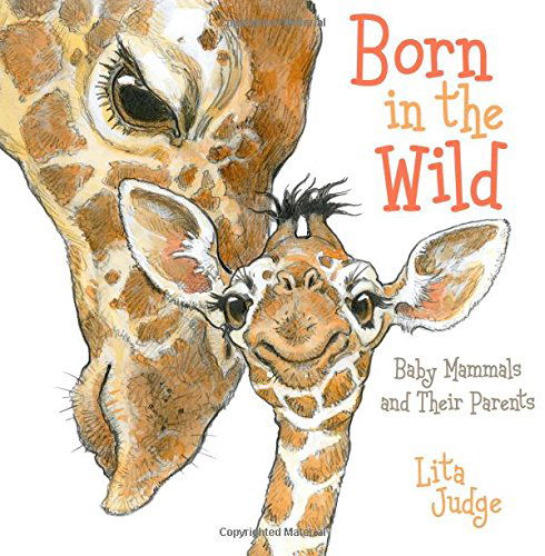 Cover for Lita Judge · Born in the Wild: Baby Mammals and Their Parents - In the Wild (Hardcover bog) (2014)