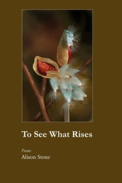 Cover for Alison Stone · To See What Rises (Buch) (2022)