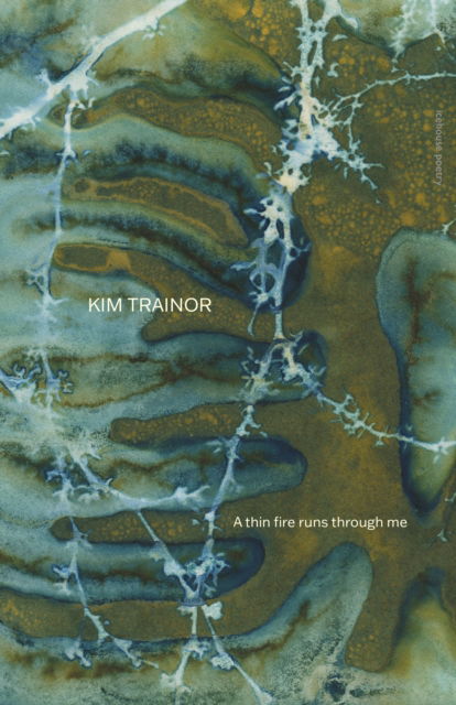 Cover for Kim Trainor · A thin fire runs through me (Paperback Book) (2023)