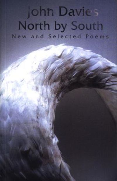 Cover for John Davies · North by South: New and Selected Poems (Paperback Book) (2002)