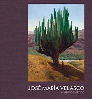 Jose Maria Velasco: A View of Mexico - Dexter Dalwood - Books - National Gallery Company Ltd - 9781857097252 - April 1, 2025