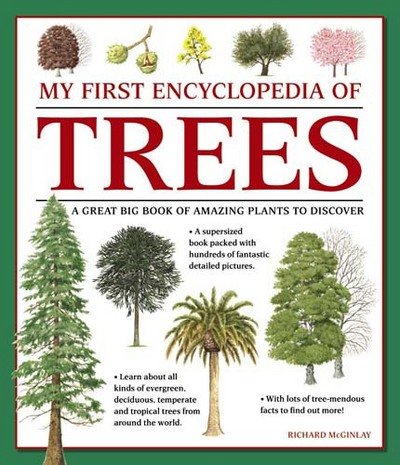 Cover for Mcginlay Richard · My First Encyclopedia of Trees (giant Size) (Paperback Book) (2017)