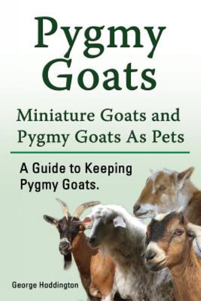 Cover for George Hoddington · Pygmy Goats. Miniature Goats and Pygmy Goats As Pets. A Guide to Keeping Pygmy Goats. (Paperback Book) (2017)