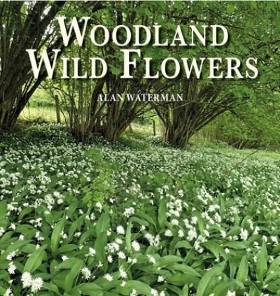 Cover for Alan Waterman · Woodland Wild Flowers: Through the Seasons (Hardcover Book) (2021)