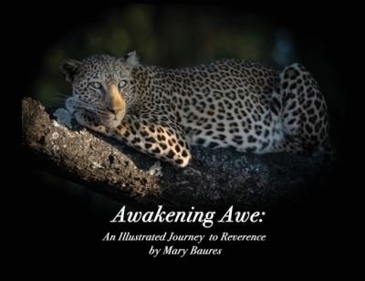 Cover for Mary Baures · Awakening Awe (Paperback Book) (2020)