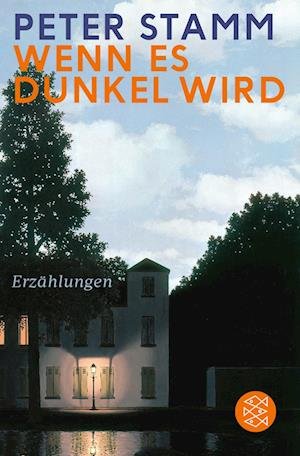 Cover for Peter Stamm · Wenn es dunkel wird (Bok) (2022)