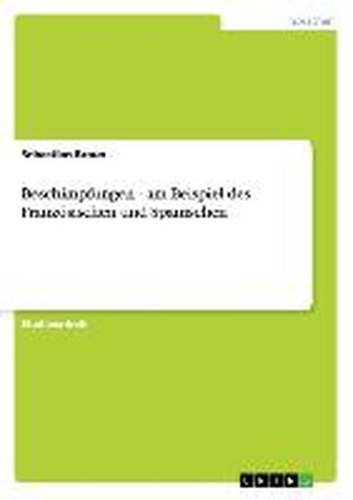 Cover for Braun · Beschimpfungen - am Beispiel des (Book) [German edition] (2013)