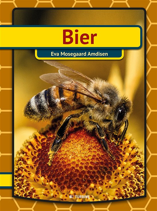 Cover for Eva Mosegaard Amdisen · Min første bog: Bier (Hardcover Book) [1.º edición] (2017)