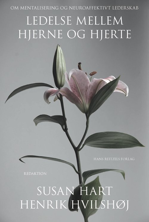 Cover for Susan Hart; Marianne Bentzen; Henrik Hvilshøj; Henrik Dahl; Lotte Klarskov; Hanne Dalsgaard; Inge Lind Sørensen · Ledelse mellem hjerne og hjerte (Sewn Spine Book) [1.º edición] (2013)