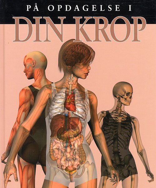 Cover for Steve Parker · På opdagelse i ...: På opdagelse i din krop (Indbundet Bog) [1. udgave] (2007)