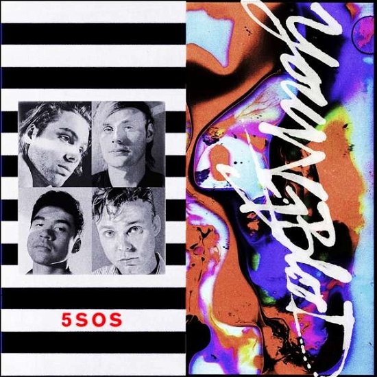Cover for 5 Seconds of Summer · Youngblood (LP) (2018)