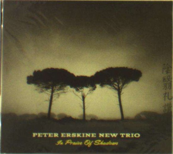 Cover for Peter New Trio Erskine · In Praise of Shadows (CD) (2017)
