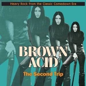 Cover for Brown Acid: The Second Trip (LP) (2016)