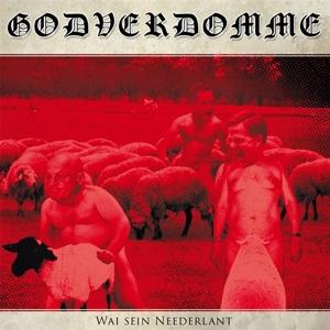 Cover for Godverdomme (tim Steinford) · Wai Sein Neederlant! (CD) (2021)