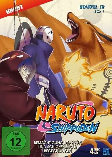 Cover for Naruto Shippuden - Bemächtigung des Kyubi und schicksalhafte Begegnungen - Staffel 12, Box 1: Folge (DVD) (2013)