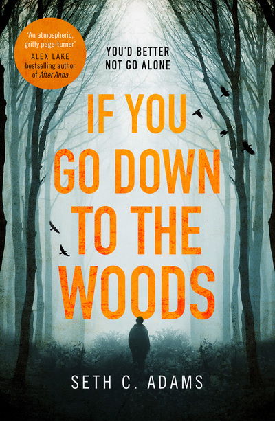 If You Go Down to the Woods - Seth C. Adams - Books - HarperCollins Publishers - 9780008280253 - July 26, 2018