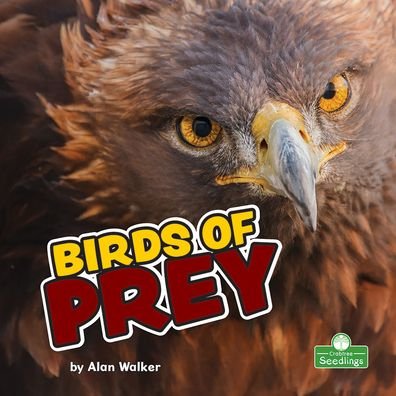 Cover for Alan Walker · Birds of Prey (Hardcover bog) (2021)