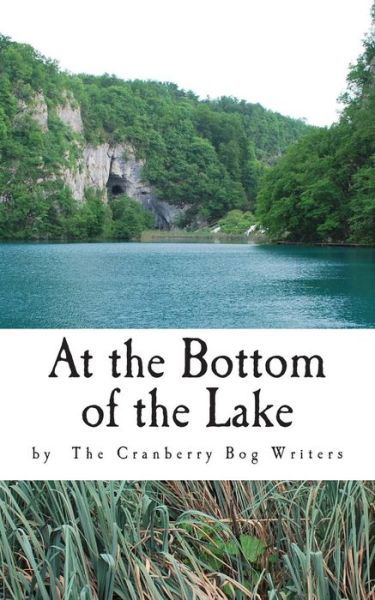 Cover for Cranberry Bog Writers · At the Bottom of the Lake (Paperback Book) (2013)