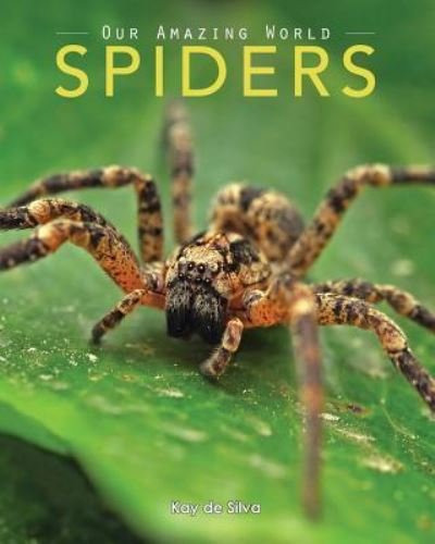Cover for Spiders (Book) (2015)