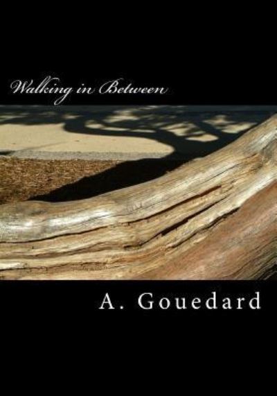 Cover for A Gouedard · Walking in Between (Paperback Book) (2016)