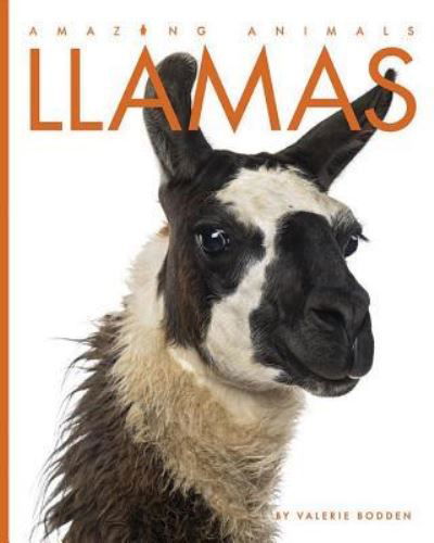 Cover for Valerie Bodden · Llamas (Book) (2019)